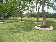 Houston, Texas, Retaining Walls, Tree Rings Houston, Texas, Retaining Walls, Tree Rings