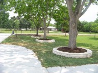 Houston, Texas, Retaining Walls, Tree Rings Houston, Texas, Retaining Walls, Tree Rings