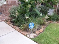 League City, Texas, Landcaping Before, Retaining Wall League City, Texas, Landcaping Before, Retaining Wall