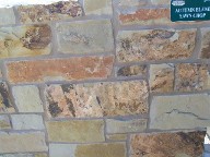 Autumn Blend Sawn Chop Veneer