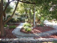 Friendswood Texas Pavestone Driveway Walkway Drainage Pool Surounding Pergola